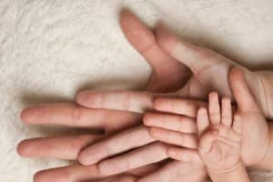 armonia in familie