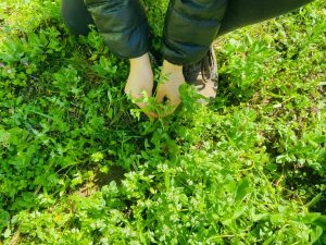 Activitati-outdoor-gradinita-sector-2-privata