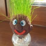 Activitati-outdoor-gradinita-sector-2