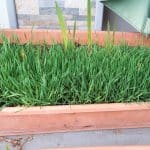 Micii ecologisti la gradinita privata sector 2