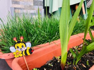 Micii exploratori la gradinita particulara sector 2 activitate de plantare
