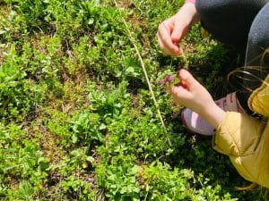 Micii exploratori la gradinita privata sector 2 activitate outdoor