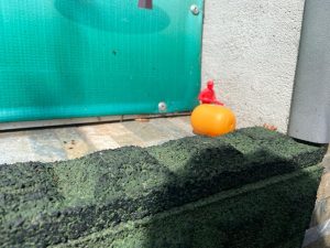 jucarii la vanatoarea de comori la gradinirta