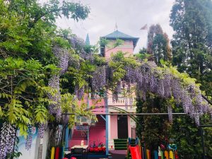 Ziua copilului la gradinita sector 2 Bucuresti